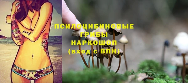 тгк Армянск