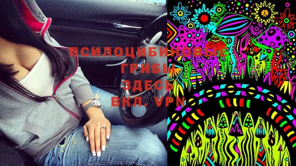 дурь Арсеньев