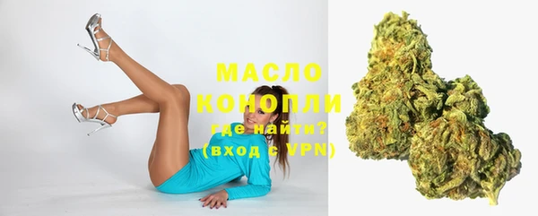 гашик Аркадак