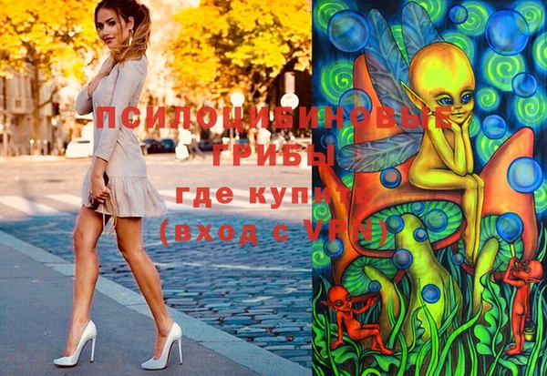 гашик Аркадак