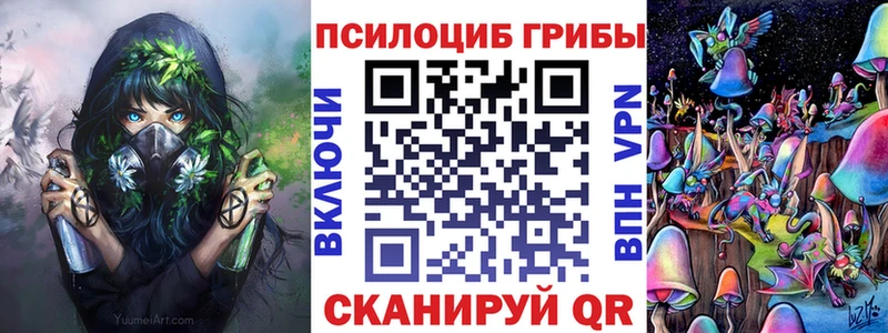Псилоцибиновые грибы MAGIC MUSHROOMS  продажа наркотиков  Светлый 